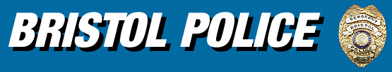 page2a.gif (20966 bytes)