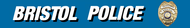 page2b.gif (21345 bytes)